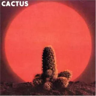 Cactus Cactus (LP)