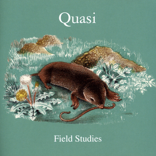 Quasi Field Studies (2LP)