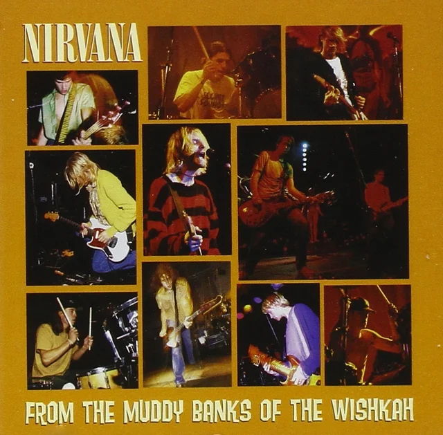 Nirvana From The Muddy Banks Of... (2LP) 