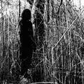 Billy Woods Today, I Wrote Nothing: 10 Year… (CD)