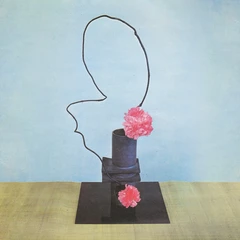 Methyl Ethel Oh Inhuman Spectacle (LP)