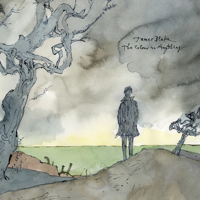 James Blake The Colour In Anything (2LP) 