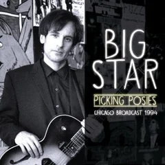 Big Star Picking Posies (2LP)