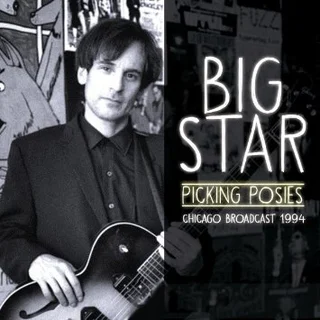 Big Star Picking Posies (2LP)
