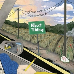 Frankie Cosmos Next Thing (LP)