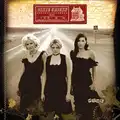 The Chicks/Dixie Chicks Home (2LP)