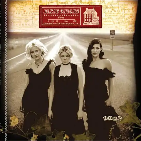 The Chicks/Dixie Chicks Home (2LP) 