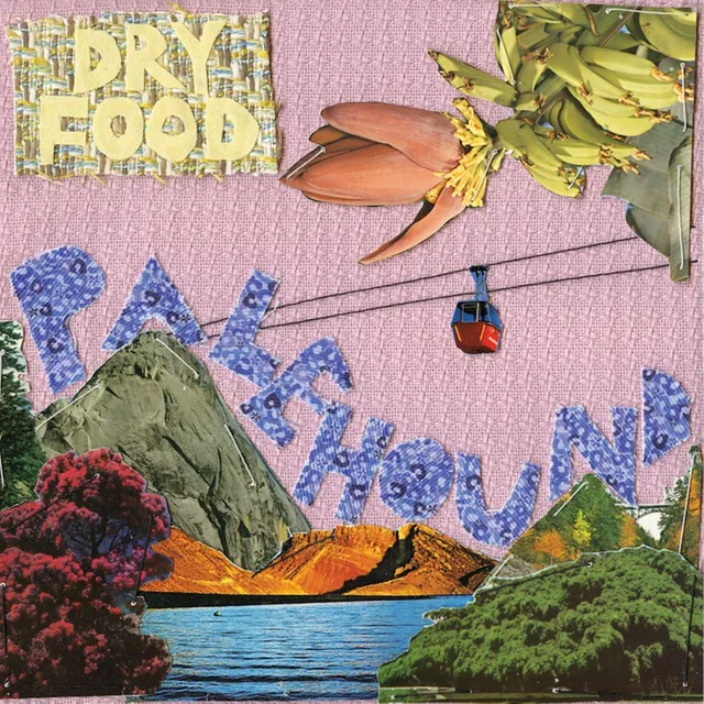 Palehound Dry Food (LP) 