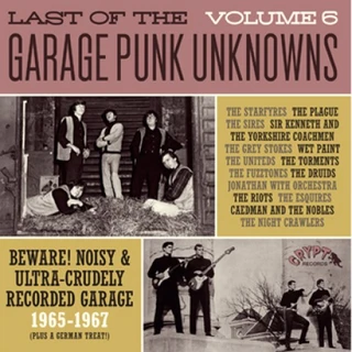 Diverse artister Last of the Garage Punk Unknowns 6 (LP) 