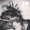Dressy Bessy Kingsized (LP)