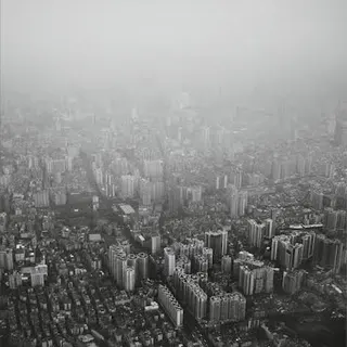 Shapednoise Different Selves (LP) 