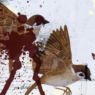 Bring Me The Horizon This is What the Edge of Your Seat..(LP)