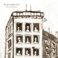 The Pineapple Thief 10 Stories Down (2LP)