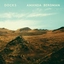 Amanda Bergman Docks (LP)
