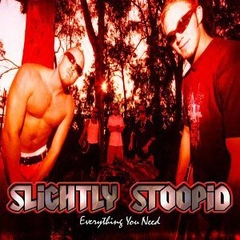 Slightly Stoopid Everything You Need (LP)