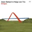 Adam Baldych &amp; Helge Lien Trio Bridges (LP)