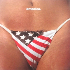 The Black Crowes Amorica (2LP)