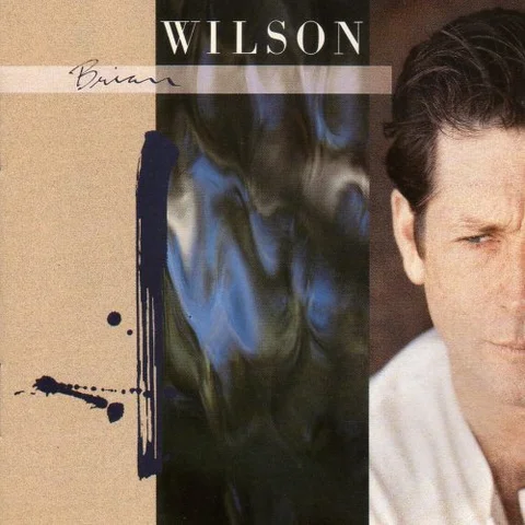 Brian Wilson Brian Wilson (LP) 