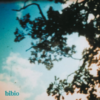 Bibio Fi (2LP)