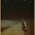 Necromonkey Glimpse of Possible Endings (LP)