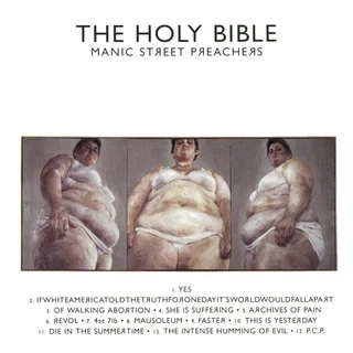 Manic Street Preachers The Holy Bible (LP)