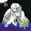 Songs: Ohia The Magnolia Electric Co (2LP)