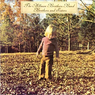 The Allman Brothers Band Brothers And Sisters (LP)