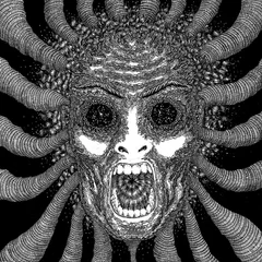 Ty Segall Band Slaughterhouse (2x10'')