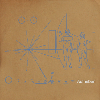 The Brian Jonestown Massacre Aufheben (2LP)