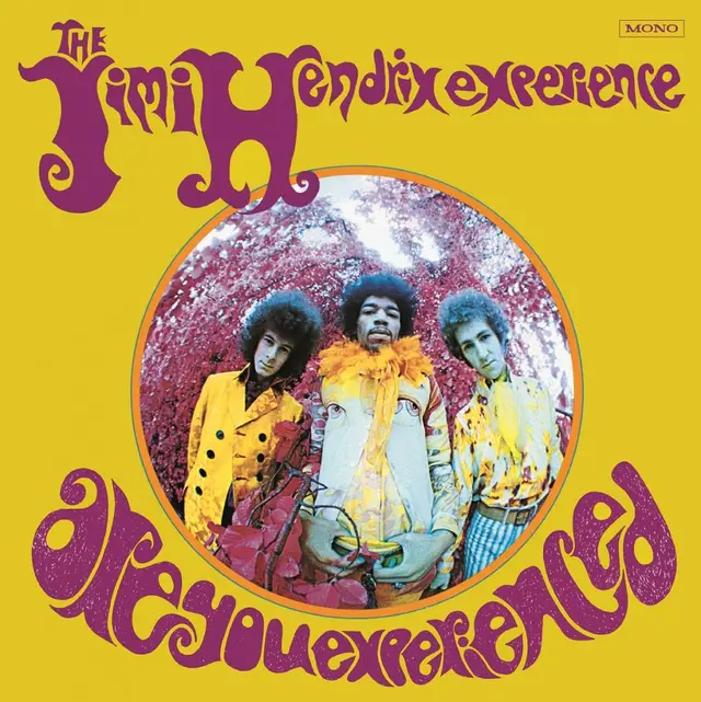 Jimi Hendrix Experience Are You Experienced (US Mono) (LP) 