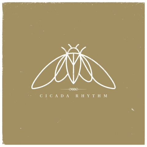 Cicada Rhythm Cicada Rhythm (LP) 