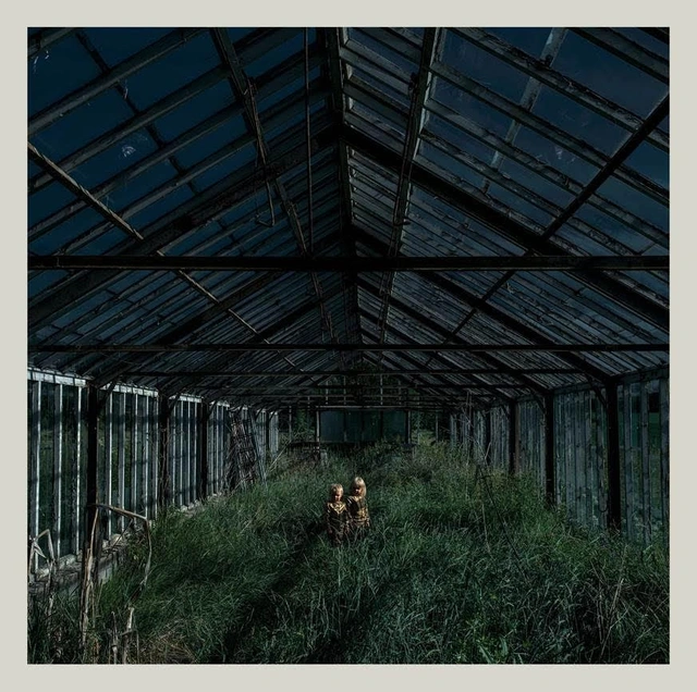 Foxing Dealer (LP) 