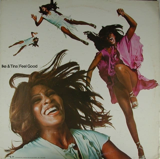 Ike &amp; Tina Turner Feel Good (LP)