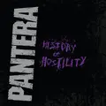 Pantera History Of Hostility (LP)