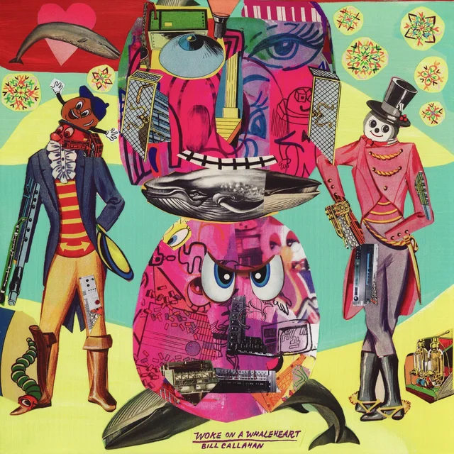 Bill Callahan Woke On A Whaleheart (LP) 