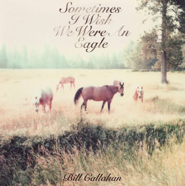 Bill Callahan Sometimes I Wish We Were An Eagle (LP) 