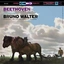Beethoven / Bruno Walter / Columbia Symp Symphony No. 6 in F Major, Op. 68 (LP)