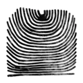 Rival Consoles Howl (2LP)