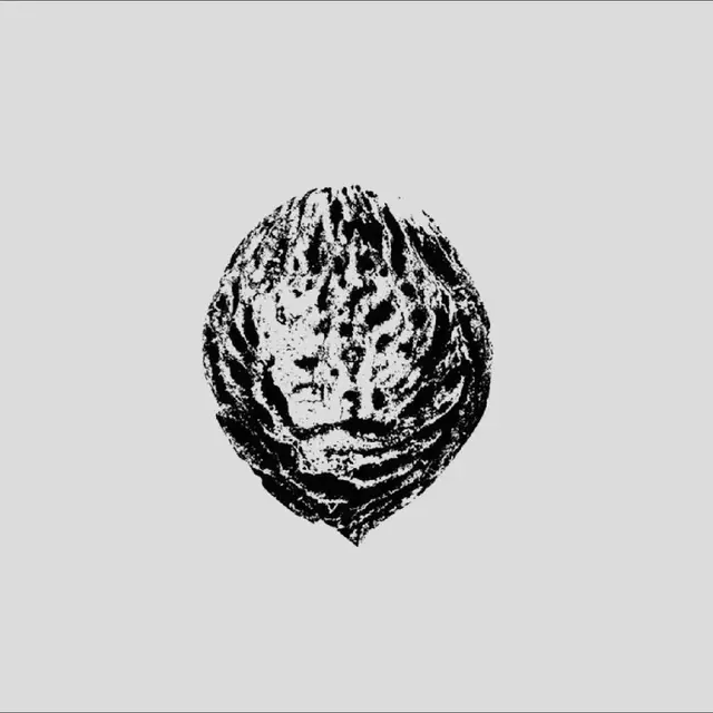 Black Lips Bebop Armageddon (Detours…) - LTD (LP) 