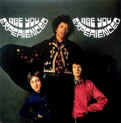 Jimi Hendrix Experience Are You Experienced (2LP)