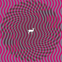 Deerhunter Cryptograms | Fluorescent Grey (2LP)