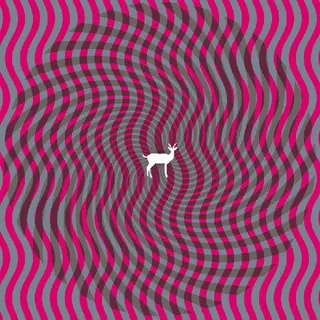 Deerhunter Cryptograms | Fluorescent Grey (2LP)