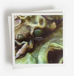 Stephen O'Malley Eternelle Idole (2LP)