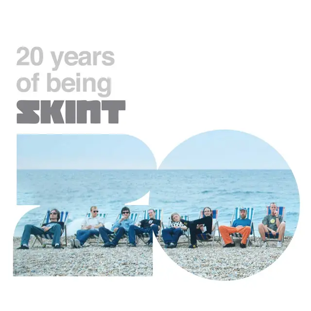 Diverse Artister 20 Years of Being Skint (4LP) 
