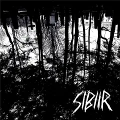 Sibiir Swallow &amp; Trap Them! (7'')