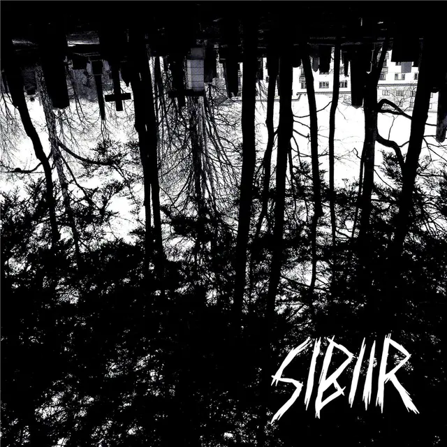 Sibiir Swallow & Trap Them! (7'') 