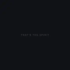 Bring Me The Horizon That's The Spirit (LP)