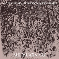 Natural Information Society &amp; Bitchin… Automaginary (LP)