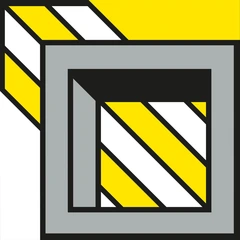 The Outsiders C.Q. - LTD (LP)