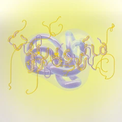 Björk Family (Katie Gately Remix) (12'')